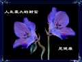 ������һ������������������������������ı�־��